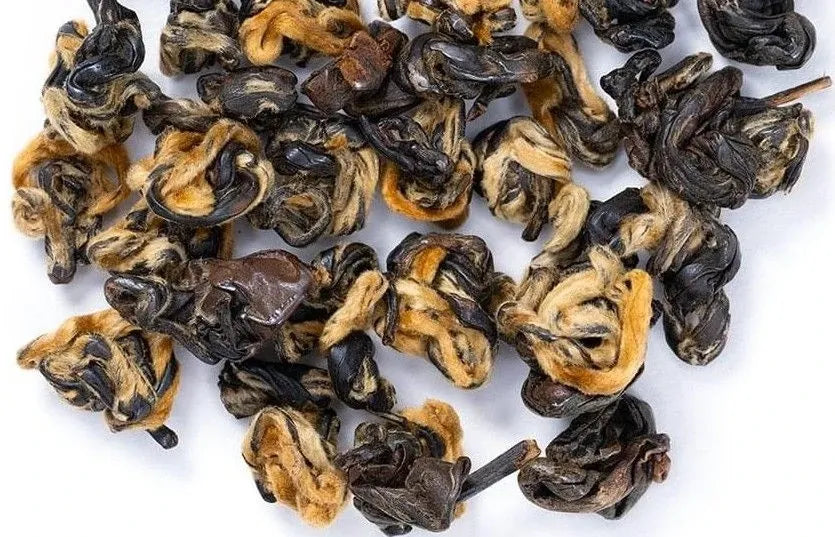 Yunnan Noir